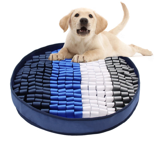 Dog chewing durable Oxford cloth bite toy designed for interactive play and daily engagement activity
