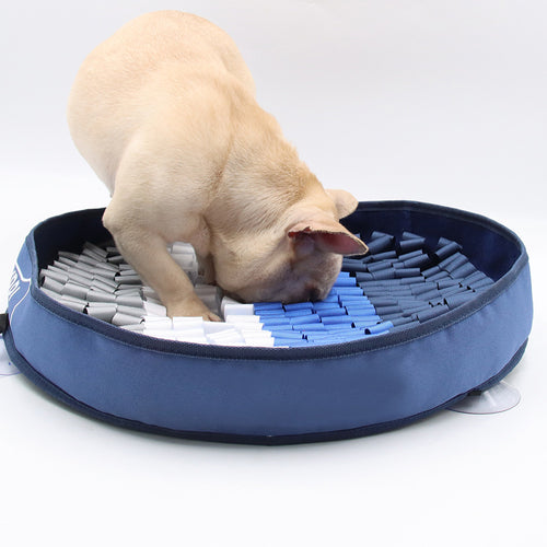 Dog tugging chew bite toy during outdoor play showing strong fabric and interactive movement use